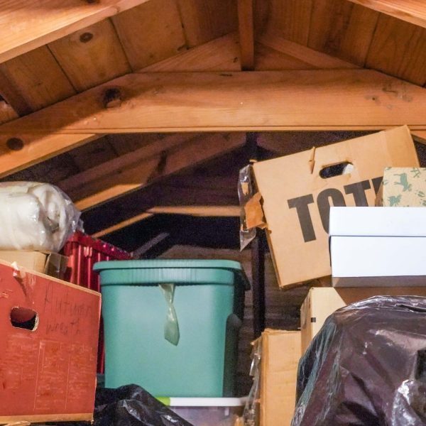 attic organization